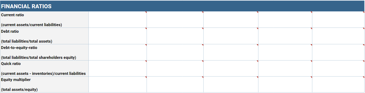 Balance Sheet Template instructions 5